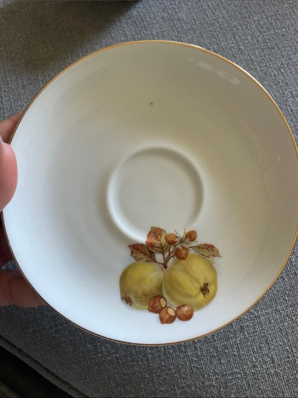 Bareuther Waldsassen Bavarian  Teacup and Saucer Set Fruit design and Gold Trim